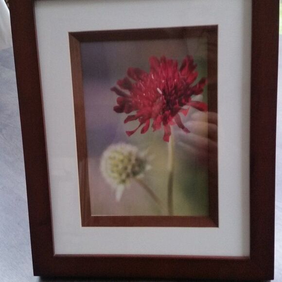 Picture in the frame - Picture 3 of 4